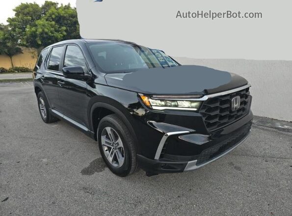 5FNYG2H53RB002351 2024 HONDA PILOT Black 