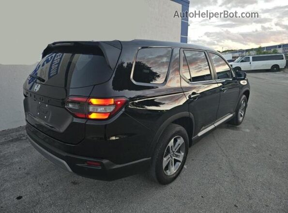 5FNYG2H53RB002351 2024 HONDA PILOT Black 