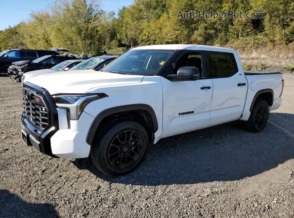 5TFLA5DBXPX109117 2023 TOYOTA TUNDRA White 