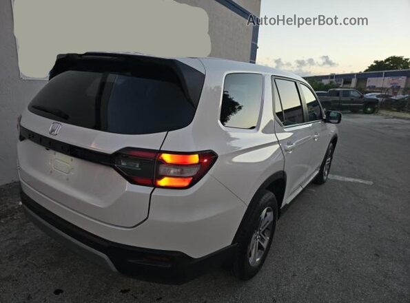 5FNYG1H45RB008220 2024 HONDA PILOT White Front view