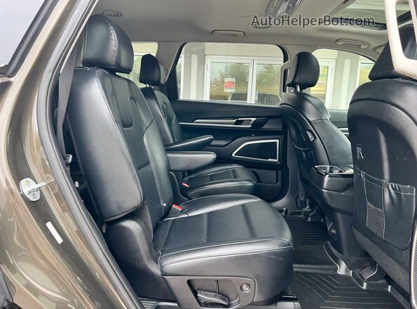 5XYP6DHC0LG003708 2020 KIA TELLURIDE Green Rear view
