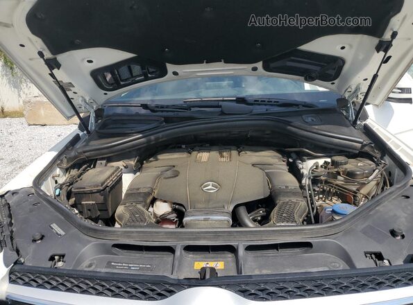 4JGDF6EE2KB237616 2019 MERCEDES-BENZ GLS-CLASS White Vista de la etiqueta del VIN