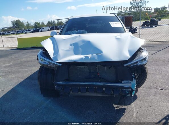 3PCAJ5AA9MF114494 2021 INFINITI QX50 Белый Вид спереди