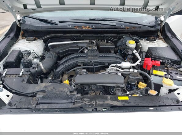 JF1GUABC2R8354784 2024 SUBARU IMPREZA White 