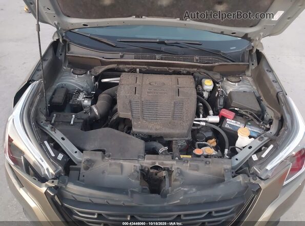 JF2SKAEC8PH444588 2023 SUBARU FORESTER Green Widok z tyłu