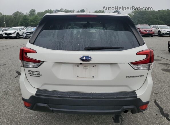JF2SKAJC8LH421585 2020 SUBARU FORESTER White Rear view