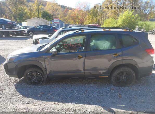JF2SKAMC3PH421477 2023 SUBARU FORESTER Gray Vista interior trasera