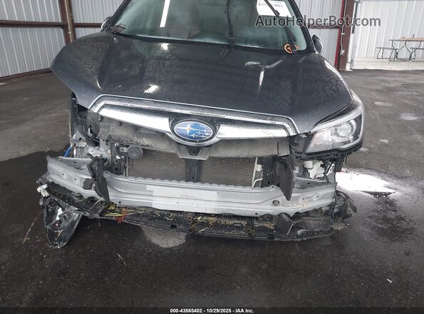 JF2SKAXC4LH584404 2020 SUBARU FORESTER Gray Դիմացի տեսք