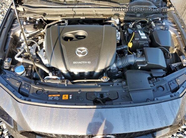 JM1BPAMM9L1169021 2020 MAZDA 3 Gray Vista interior trasera
