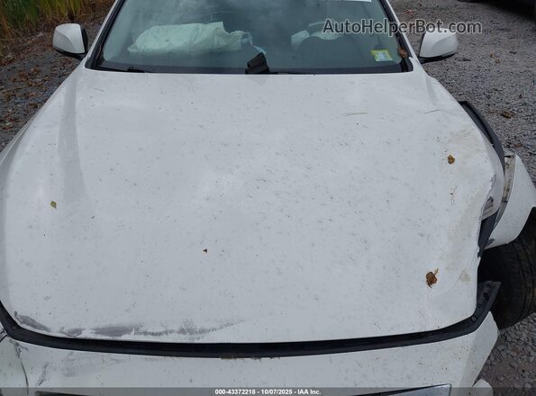 JN1EV7AR4MM750032 2021 INFINITI Q50 White Հետևի տեսք