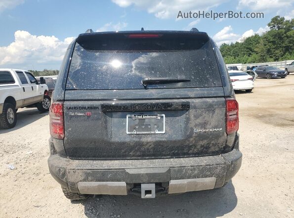 JTEABFAJ7RK010563 2024 TOYOTA LAND Gray Vista trasera