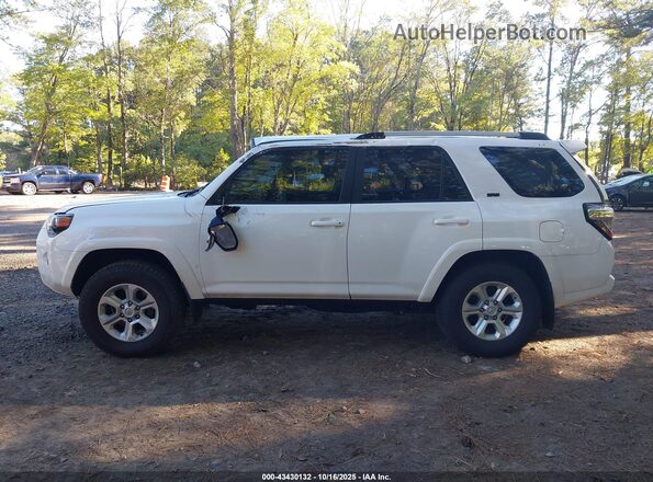 JTEBU5JR9L5777433 2020 TOYOTA 4RUNNER Белый Вид задней части салона