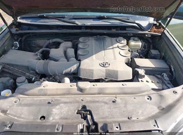 JTEBU5JR9M5862337 2021 TOYOTA 4RUNNER Green Widok z tyłu