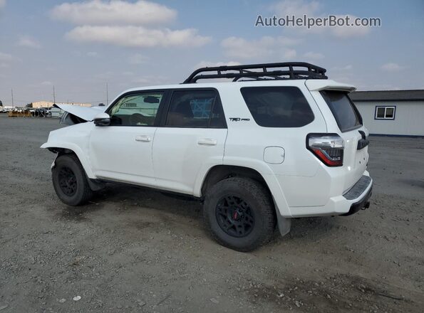 JTELU5JR6R6265393 2024 TOYOTA 4RUNNER White Հետևի ձախ