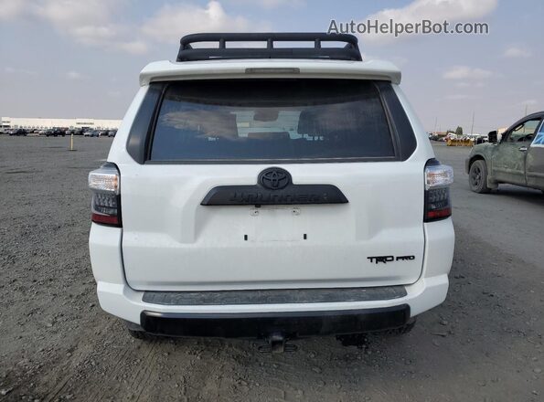 JTELU5JR6R6265393 2024 TOYOTA 4RUNNER White Հետևի տեսք