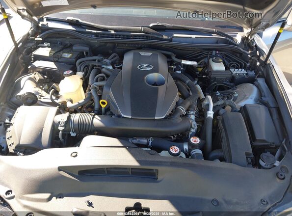 JTHBA1D21K5087578 2019 LEXUS IS 300 Серый Вид сзади