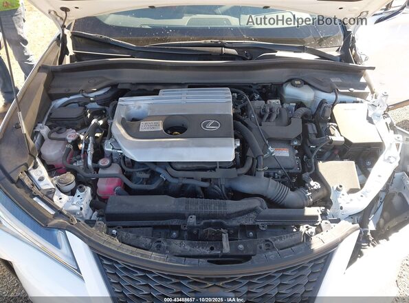 JTHE9JBH4M2049487 2021 LEXUS UX 250H White Вид ззаду