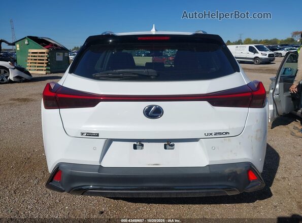 JTHE9JBH4M2049487 2021 LEXUS UX 250H White 