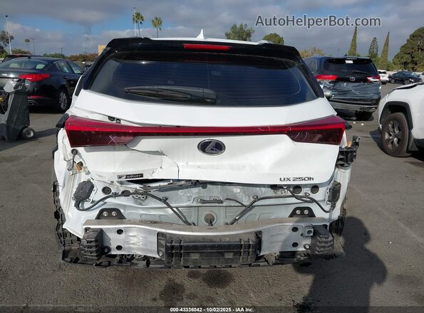 JTHE9JBHXL2034295 2020 LEXUS UX 250H White 
