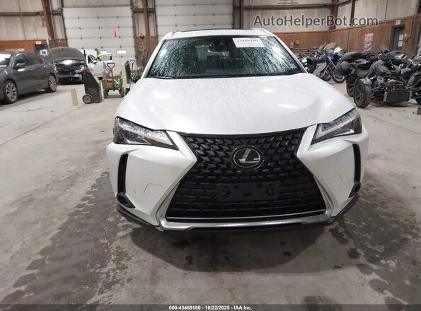JTHP3JBH1L2024054 2020 LEXUS UX 200 White 