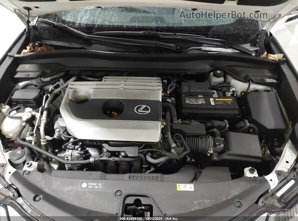 JTHP3JBH1L2024054 2020 LEXUS UX 200 White Rear view