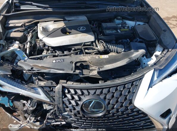 JTHP3JBH4M2033946 2021 LEXUS UX 200 White Vista trasera
