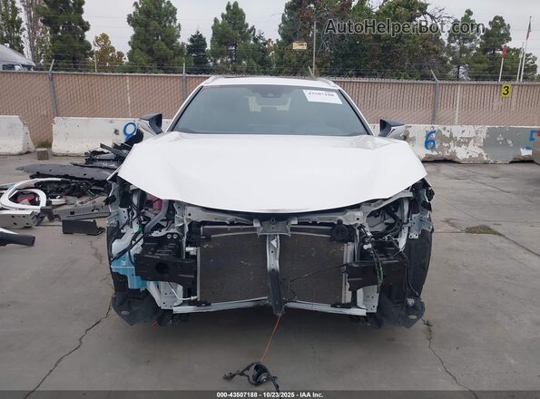 JTHP6JBH7R2192331 2024 LEXUS UX 250H White Вид задньої частини салону