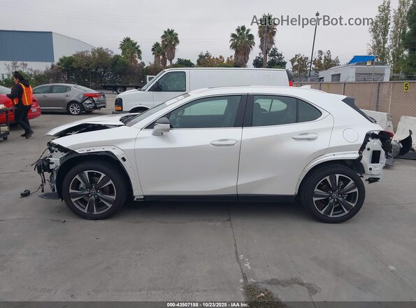 JTHP6JBH7R2192331 2024 LEXUS UX 250H White 