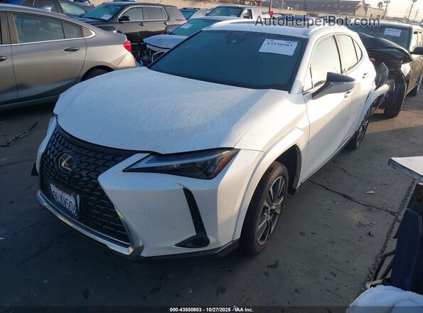 JTHP6JBH8R2190362 2024 LEXUS UX 250H White Передня ліва чверть