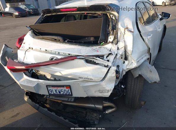 JTHP6JBH8R2190362 2024 LEXUS UX 250H White 