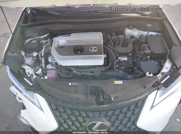 JTHP6JBH8R2190362 2024 LEXUS UX 250H White Вид ззаду