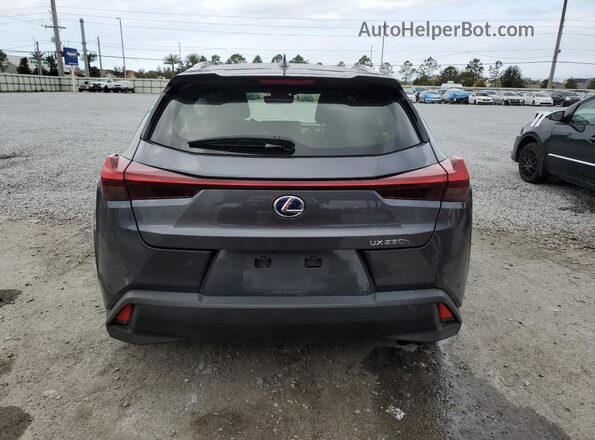 JTHP9JBH1N2057380 2022 LEXUS UX Gray Вид ззаду