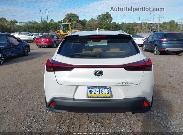 JTHP9JBH1R2072113 2024 LEXUS UX 250H White 
