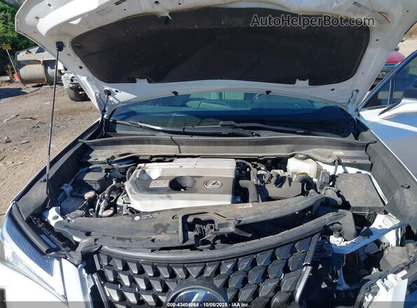 JTHP9JBH2L2035935 2020 LEXUS UX 250H White Հետևի տեսք