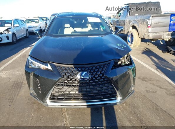 JTHP9JBH3M2051367 2021 LEXUS UX 250H Black Вид щитка приладів