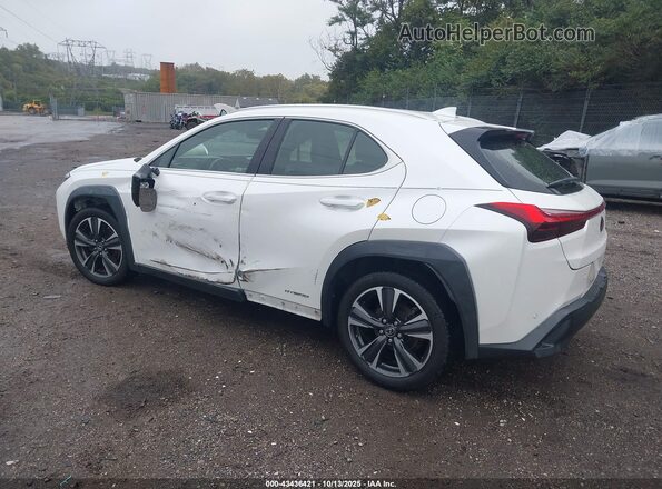 JTHP9JBH4L2025147 2020 LEXUS UX 250H Белый Задняя левая четверть