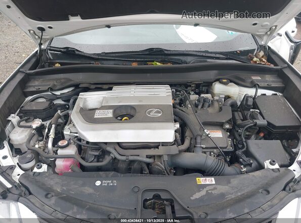 JTHP9JBH4L2025147 2020 LEXUS UX 250H Белый Вид сзади