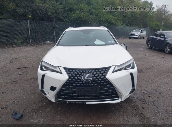 JTHP9JBH4L2025147 2020 LEXUS UX 250H Белый Вид задней части салона