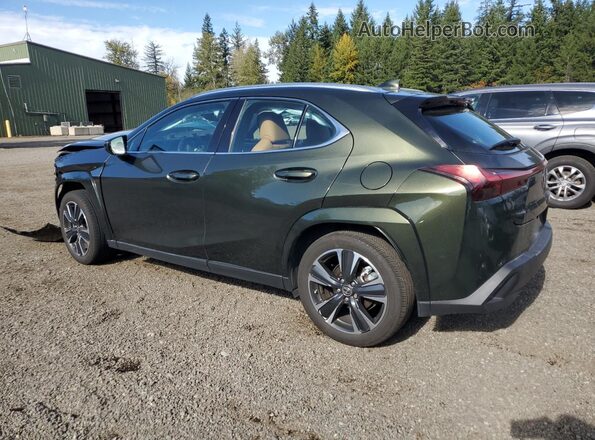 JTHP9JBH4P2070403 2023 LEXUS UX Green უკანა მარცხენა