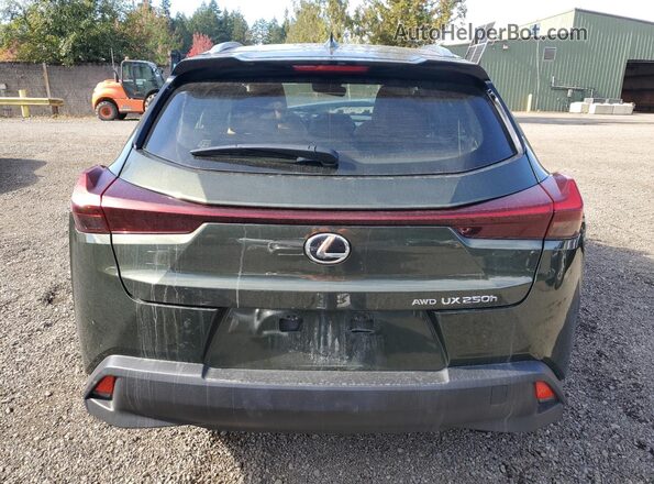 JTHP9JBH4P2070403 2023 LEXUS UX Green უკანა ხედი