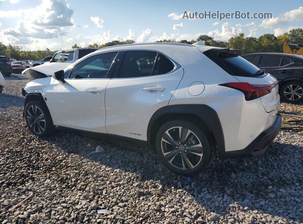 JTHP9JBH7M2047967 2021 LEXUS UX White უკანა მარცხენა