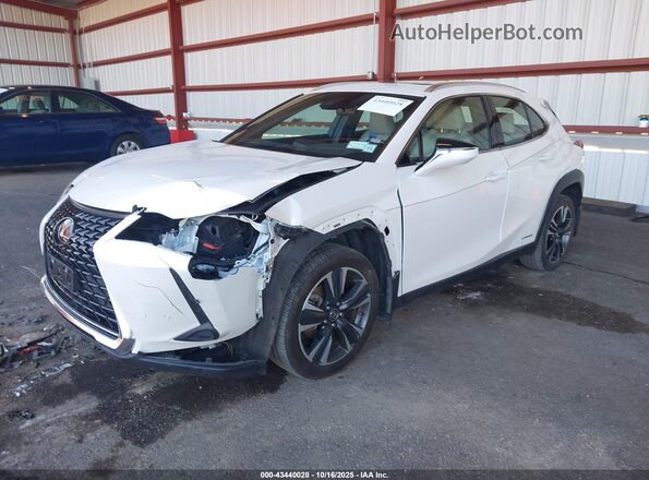 JTHP9JBH7M2050030 2021 LEXUS UX 250H White Передня ліва чверть