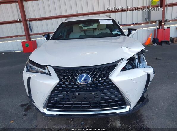 JTHP9JBH7M2050030 2021 LEXUS UX 250H White Вид щитка приладів
