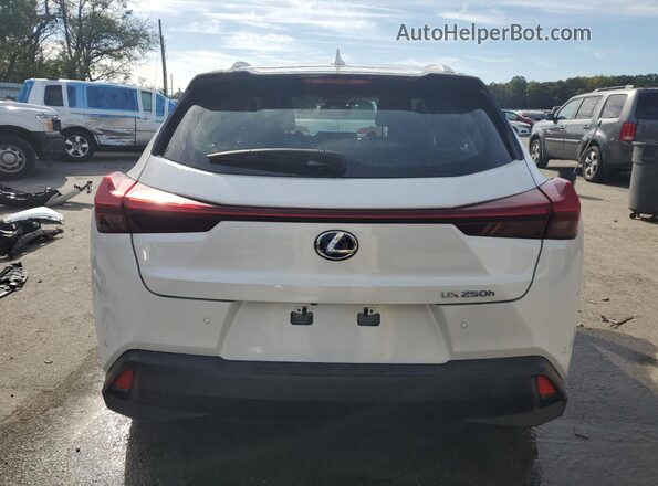 JTHP9JBH8L2036653 2020 LEXUS UX White Vista trasera