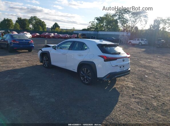 JTHR9JBH0L2022111 2020 LEXUS UX 250H White Հետևի ձախ