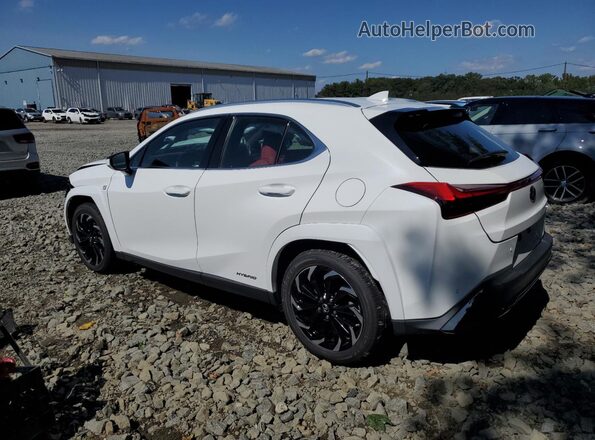 JTHR9JBH0N2061039 2022 LEXUS UX White Задня ліва чверть