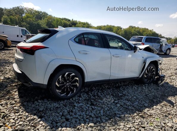 JTHR9JBH0N2061039 2022 LEXUS UX White Задня права чверть