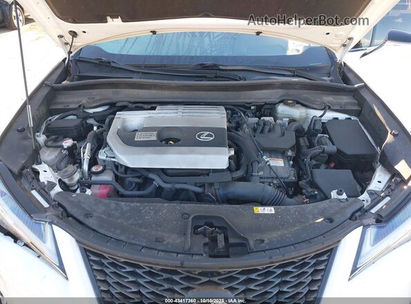 JTHR9JBH3L2021843 2020 LEXUS UX 250H White Vista trasera