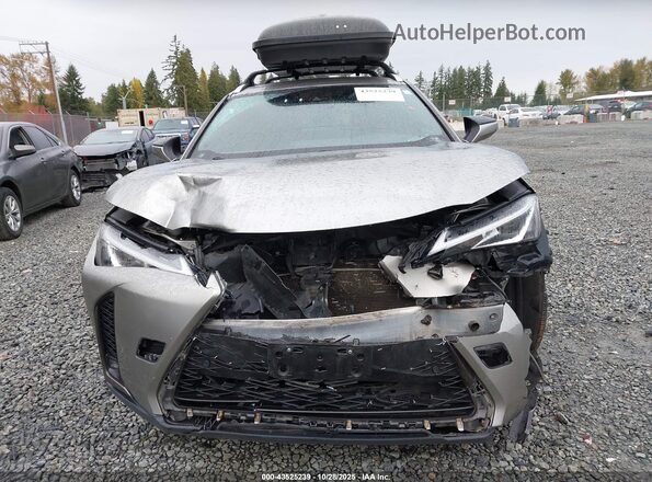 JTHR9JBH4L2036366 2020 LEXUS UX 250H Серебряный Вид спереди