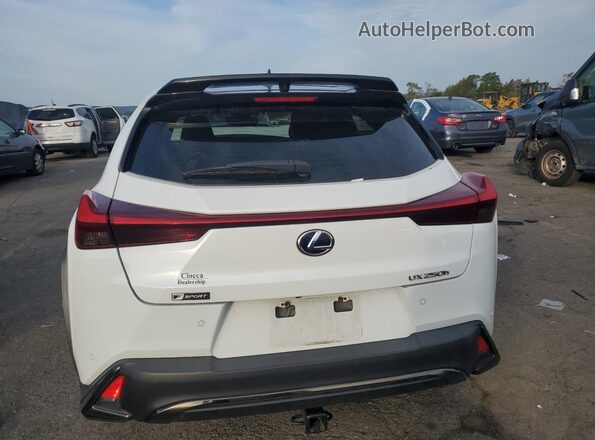 JTHR9JBH8M2046027 2021 LEXUS UX White უკანა ხედი
